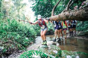 BIB: 
                            <button type="button" onclick="openModal(25458916)" class="btn btn-primary btn-sm float-right btn-popup" data-toggle="modal" data-target=".modal-high-quality">
                        <i class="fas fa-shopping-cart"></i> Add to Cart
                    </button>
                                            <button type="button" onclick="isThisMe(25458916, true)" class="btn btn-success btn-sm float-right btn-popup btn-isme hidden" data-toggle="tooltip" data-placement="bottom" title="นี่คือรูปของคุณใช่ไหม คลิกที่นี่เพื่อเอาเข้าอัลบั้ม">
                        <i class="fas fa-plus"></i> Add to album
                    </button>
                    <button type="button" onclick="isThisMe(25458916, false)" class="btn btn-warning btn-sm float-right btn-popup btn-isnotme hidden">
                        <i class="fas fa-ban"></i> Remove from album
                    </button>